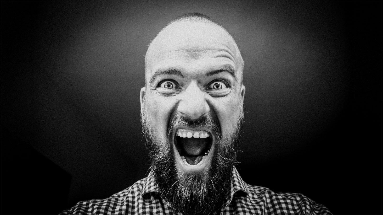 Ein Mitglied des Altbaumilieus ist mit Normalität konfrontiert - ein Akt der Gewalt.